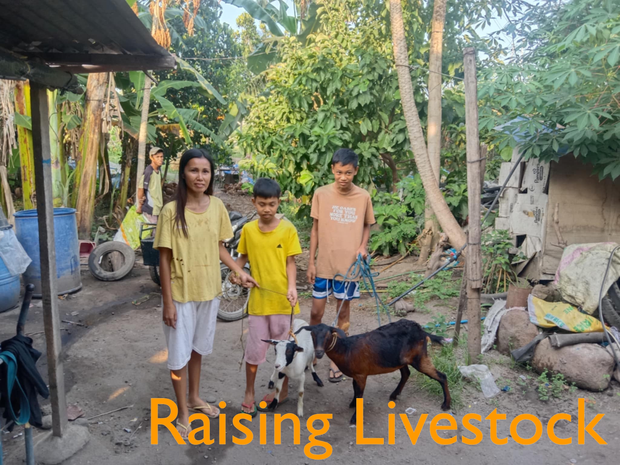 8.2.2024 goats with people copy